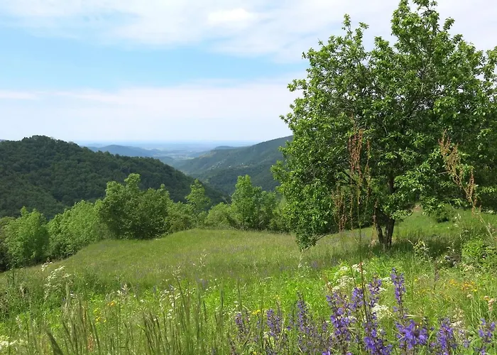 Casa Amica By Interhome * San Leonardo